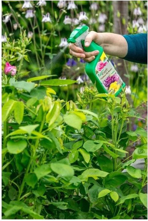 Image du produit Neudorff Remède vital BioKraft pour les roses, 500 ml