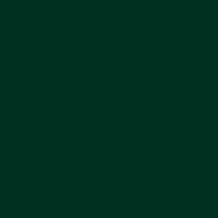 Produktbild Marabu Sprühfarbe do it Satin matt (Dunkelgrün, 150 ml)