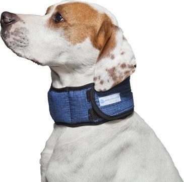 Immagine prodotto Aqua Coolkeeper Blu Pacifico (L, Cane, Generale)