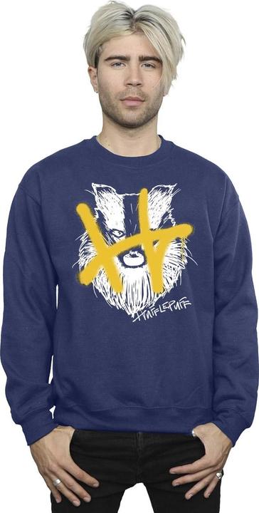 Produktbild Hufflepuff Pop Spray Sweatshirt (XL)