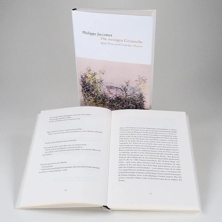 Image du produit Die wenigen Geräusche (Allemand, Philippe Jaccottet, 2020)