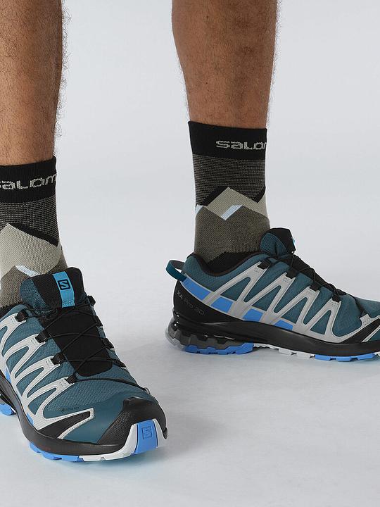 Actual product image Salomon XA PRO 3D V8 GTX MEN'S (43 1/3)
