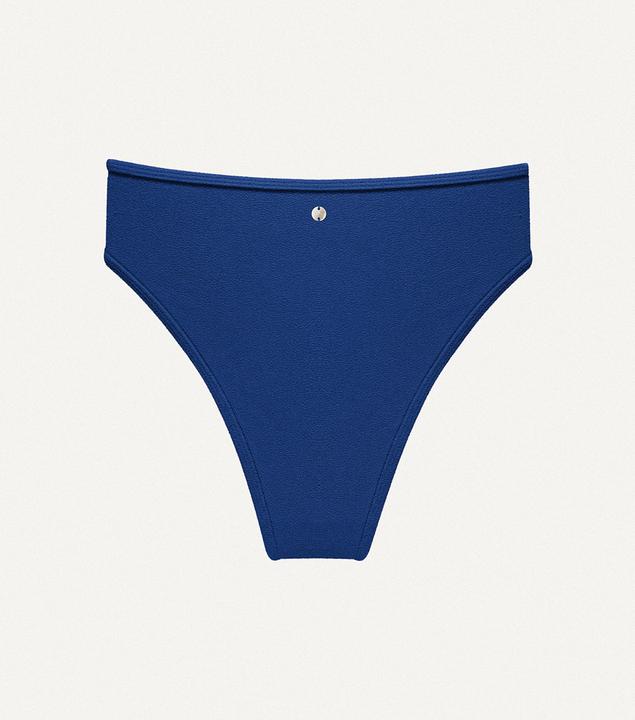 Bleu foncé Éponge