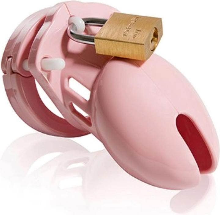 Actual product image CB-X CB-6000s Kuisheidskooi