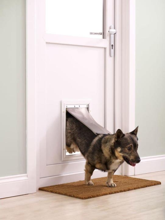 Immagine prodotto PetSafe Haustierklappe Staywell® Haustiertüre (Gattaiola manuale)