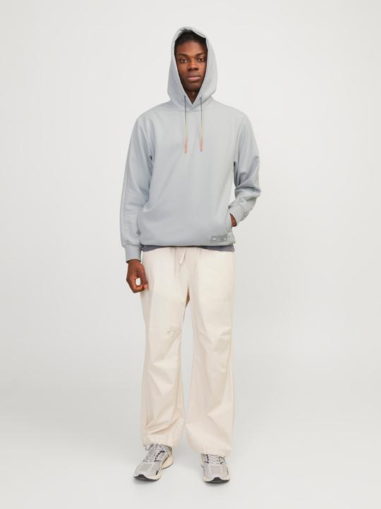 Actual product image Jack & Jones Jcoclean Fabric Sweat Hood (XS)