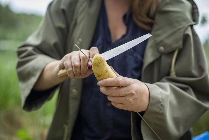 Actual product image Primus CampFire Knife