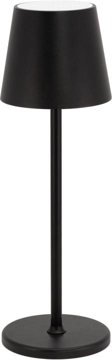 Actual product image Securit FELINE - table lamp (60 lm)