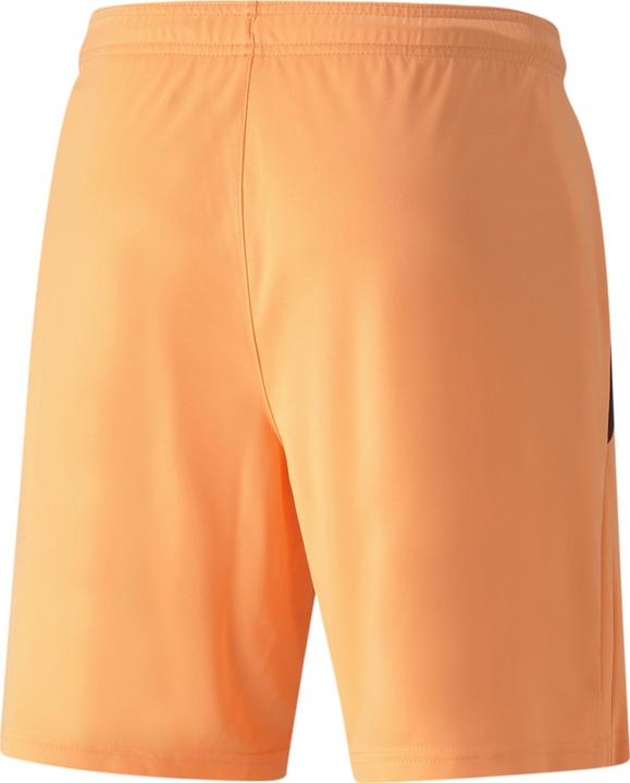 Actual product image Puma teamLIGA shorts (S)