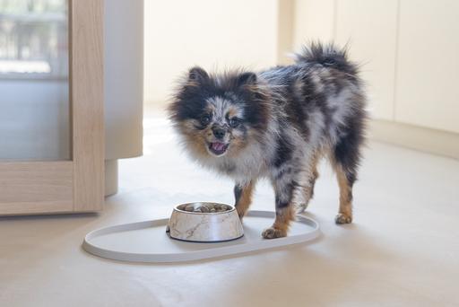 Immagine prodotto Designed by Lotte Ciotola per cani Meis (0.16 l)