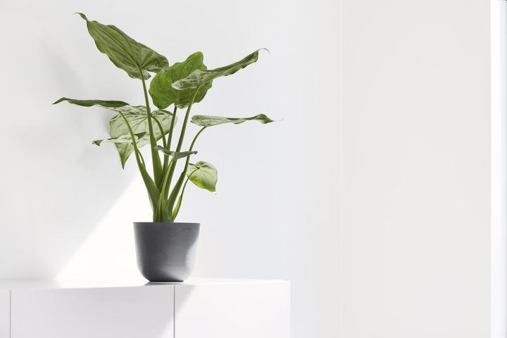 Produktbild Ecopots Oslo Mini (16 cm)