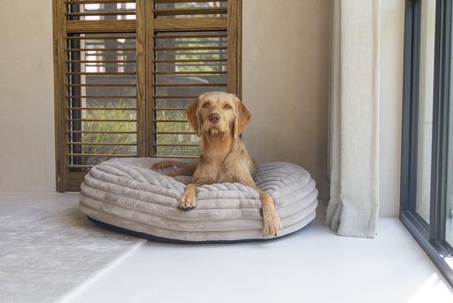 Immagine prodotto Designed by Lotte Cuscino reclinabile Reza (Cane)
