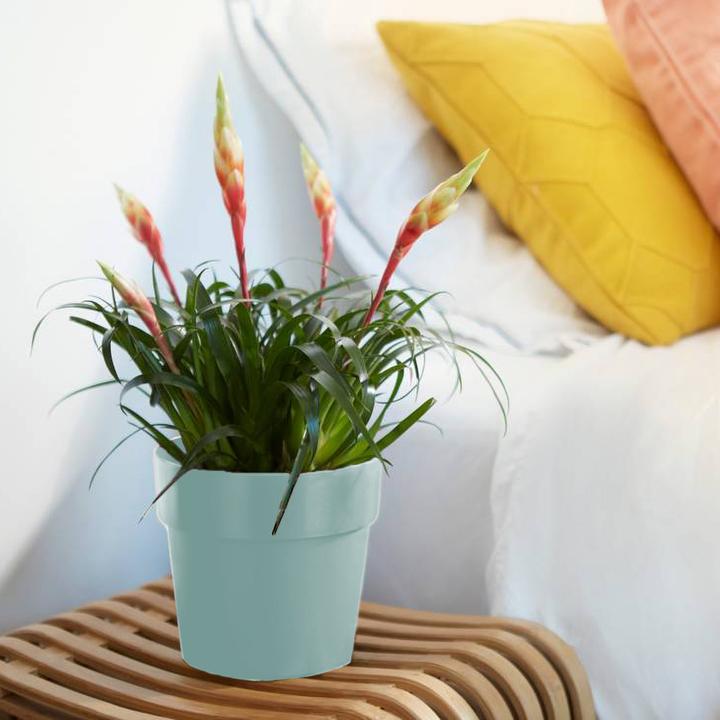 Produktbild Elho Blumentopf (18 cm)