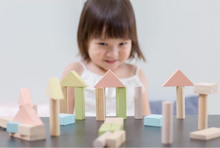 Image du produit Plantoys 40 blocs de bois pastel