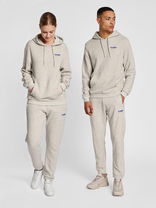 Produktbild hummel Lgc Austin Hoodie (XXL)
