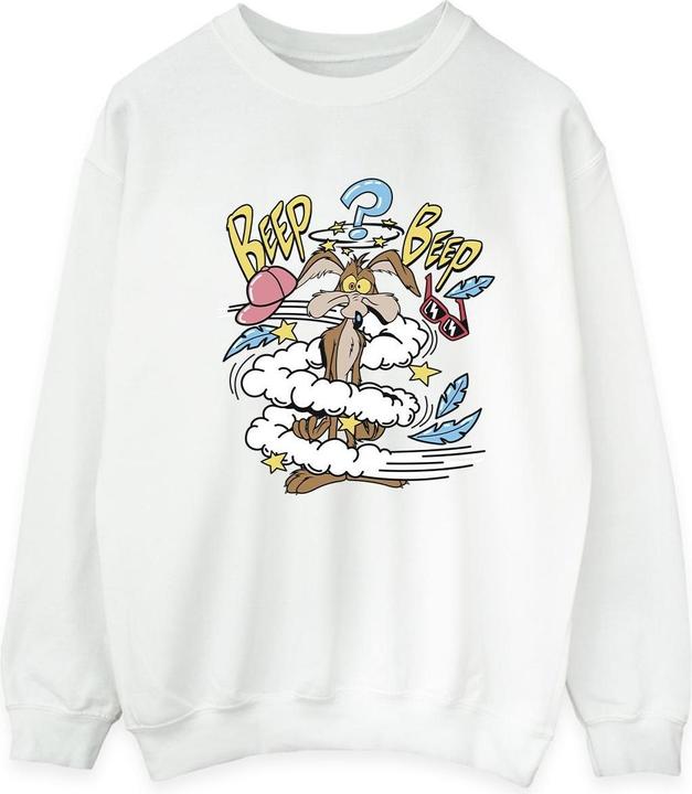 Looney Tunes Coyote Daze Sweatshirt (XXL)