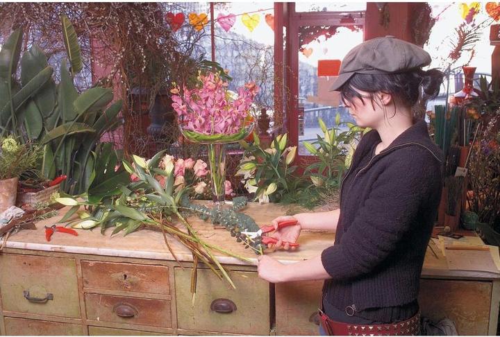 Immagine prodotto Felco forbici per fiori e frutta