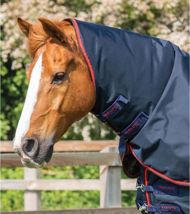 Actual product image Premier Equine Buster 250 g (206 cm)