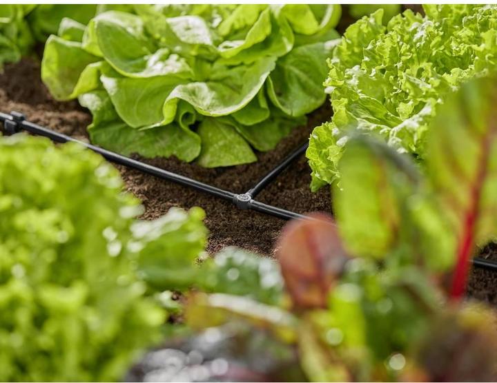 Image du produit Gardena Pièce en T 4,6 mm (Irrigation goutte à goutte Connecteur + dérivation)