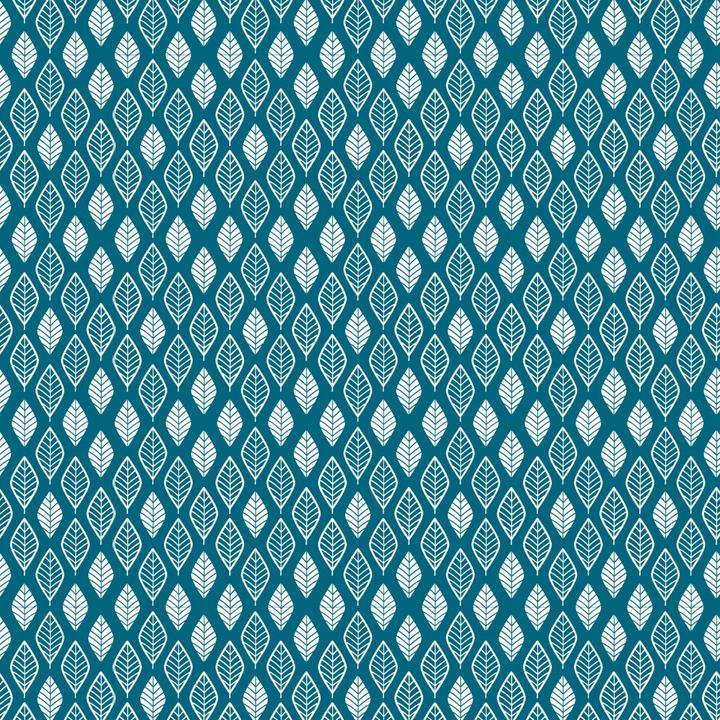 Actual product image Clairefontaine Printed papers (70 g/m², 60 x)