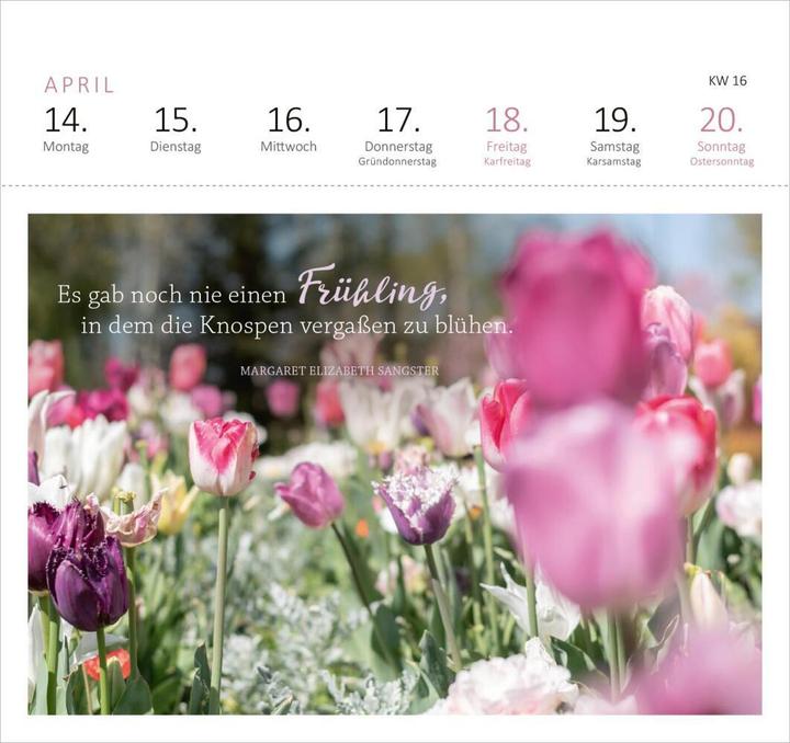 Image du produit Calendrier Postal 365 Jours Soleil (17 x 17 cm, Couverture rigide, Allemand)
