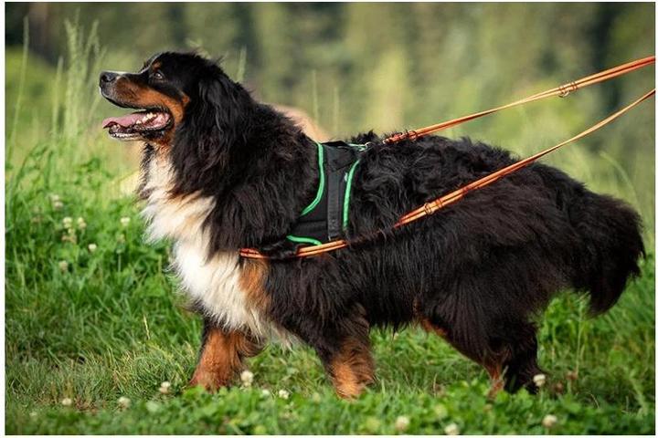 Produktbild Grossenbacher Ausbildungsgeschirr Guide (XL, Hund, Spazieren)