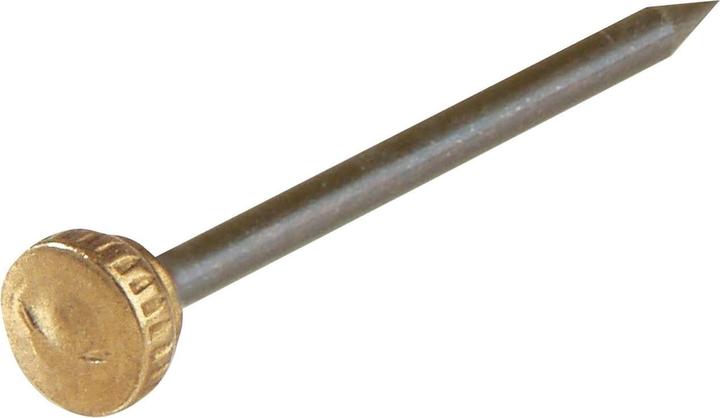 Suki Nail (25 Piece, 22 mm)