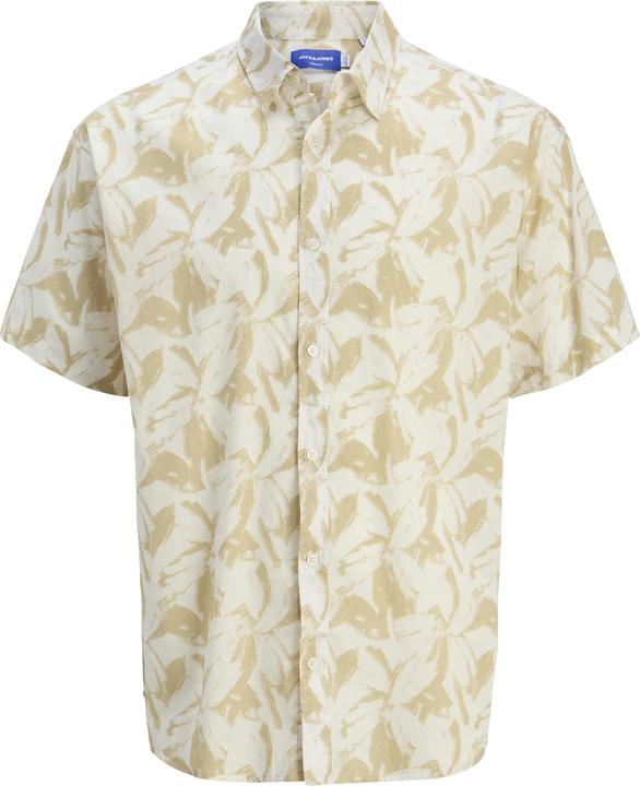 Safari