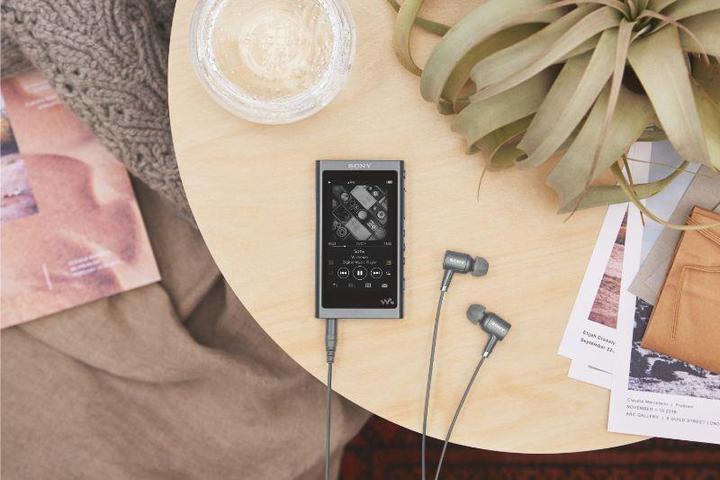Image du produit Sony h.ear NW-A55L (16 Go)