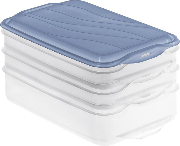 Rotho Aufschnittbox Rondo (2.85 l)