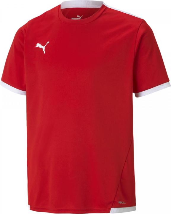 Actual product image Puma teamLIGA Jersey Jr-704925 (176)