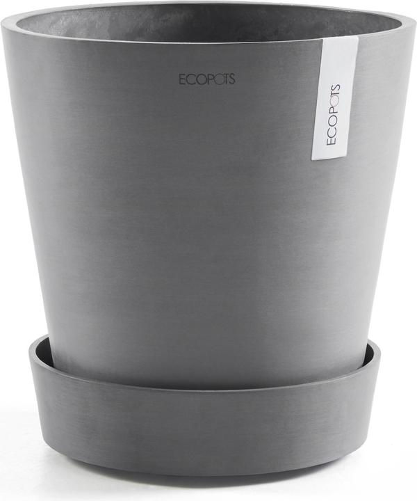 Actual product image Ecopots Saucer on Wheels
