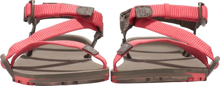 Produktbild Xero Shoes Z-Trail EV (37.5)