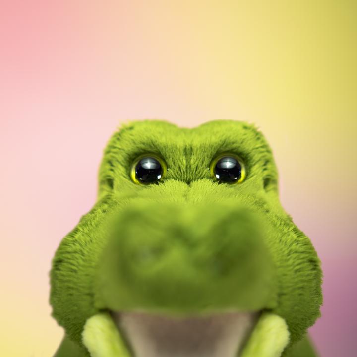 Actual product image Trudi Crocodile