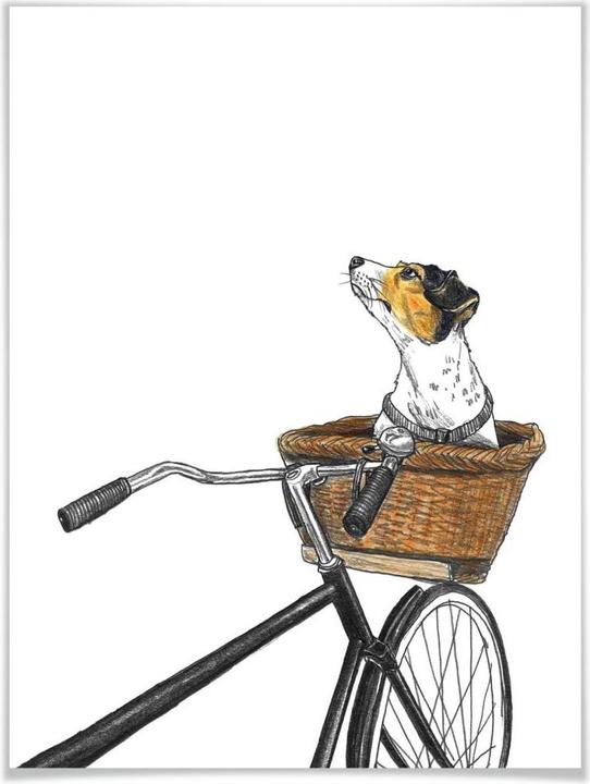 Immagine prodotto Trenddeko Cane nel cesto (60 x 80 cm)