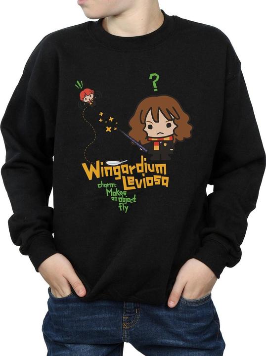 Produktbild Wingardium Leviosa Sweatshirt Jungen (140, 146)