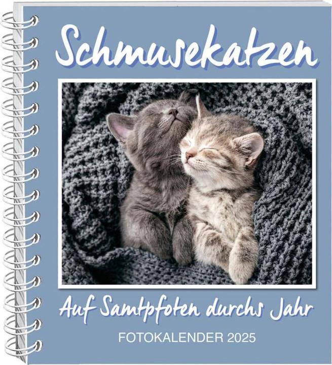 Produktbild Schmusekatzen Fotokalender 2025 (17 x 20 cm, Deutsch)