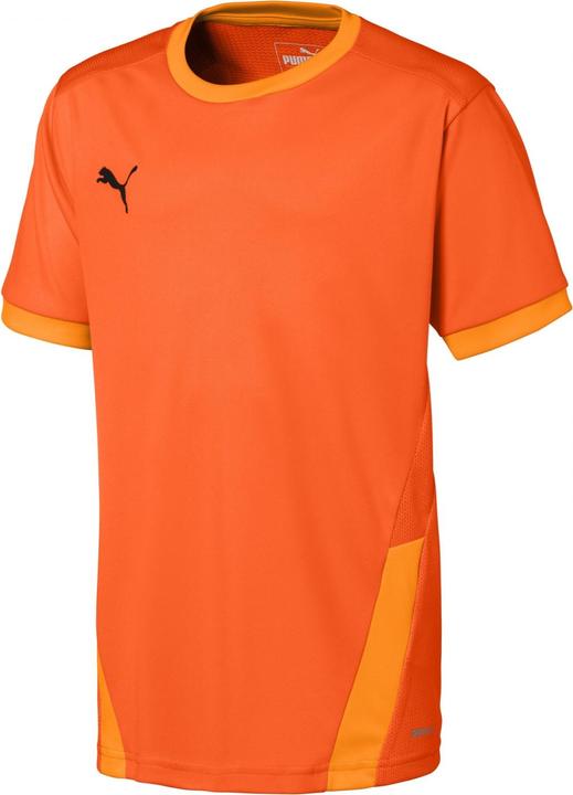 Produktbild Puma teamGOAL 23 Jersey jr-704160 (116)