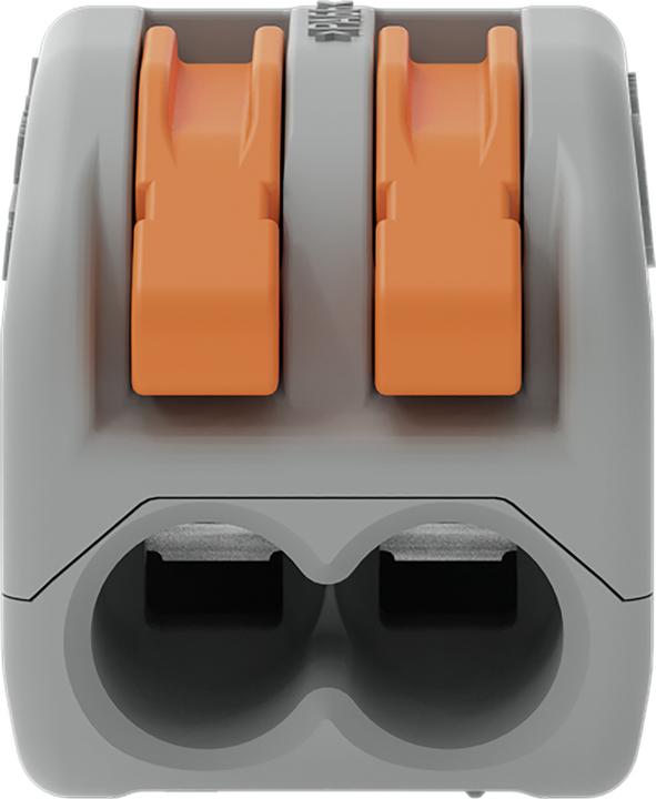 Actual product image Wago Connecting clamp - Series 222