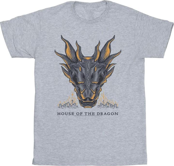 Actual product image Game of Thrones Mens Dragon Flames T-Shirt (M)