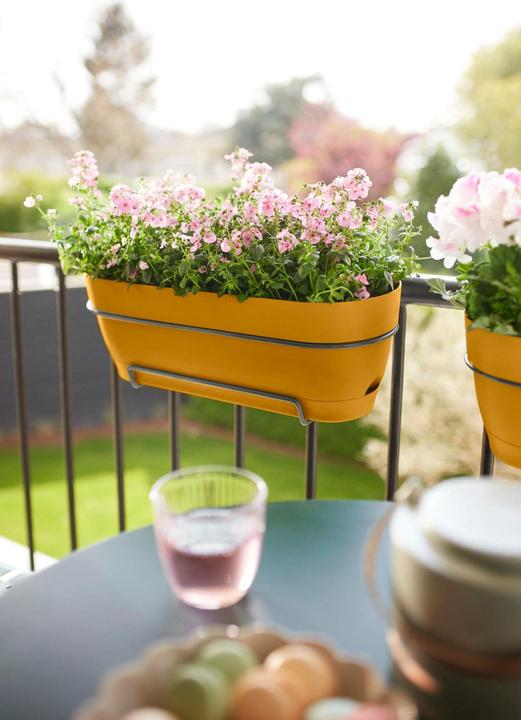Actual product image Elho Vibia Campana Balcony Box Allin1 (26 cm)