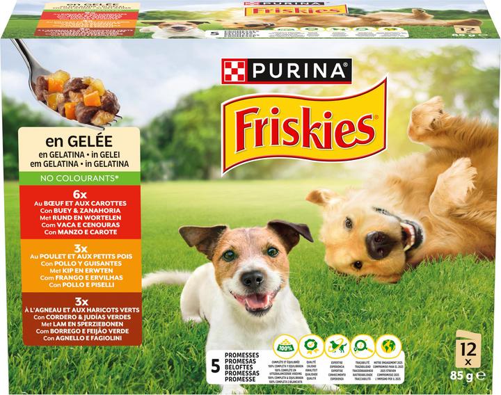 Image du produit Friskies En gelée (Adulte, 12 pcs, 1160 g)