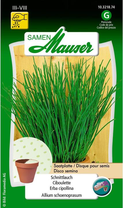 Samen Mauser Assiette de graines de ciboulette (Graines d'herbes aromatiques)