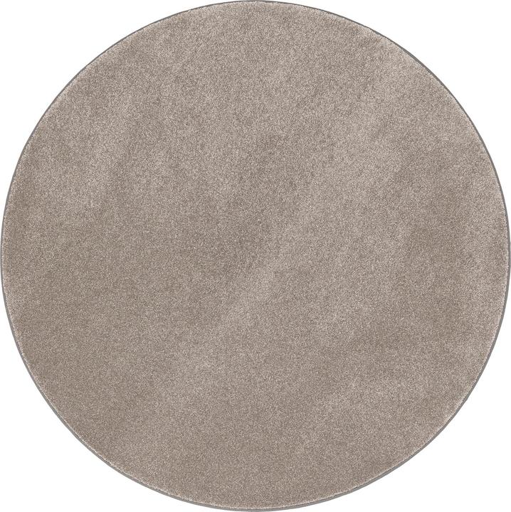 Produktbild Snapstyle Hochflor Luxus Velours Teppich Touch (Ø 200 cm)