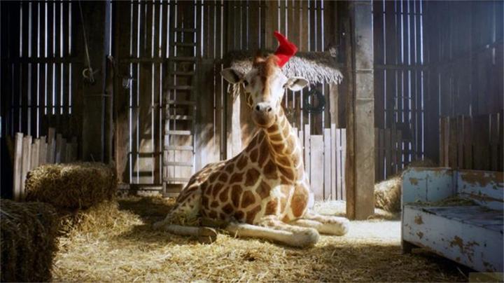 Immagine prodotto Plaion Il mio amico giraffa (DVD, 2017, Tedesco)