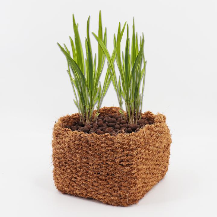 Image du produit Aquagart 3 Kokos Panzkorb 20 x 20 x 15cm Teichkorb für Ufermatte & Böschungsmatte (20 cm)