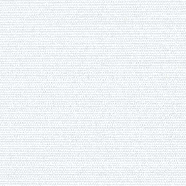 Image du produit VidaXL Store latéral extensible (1 m)