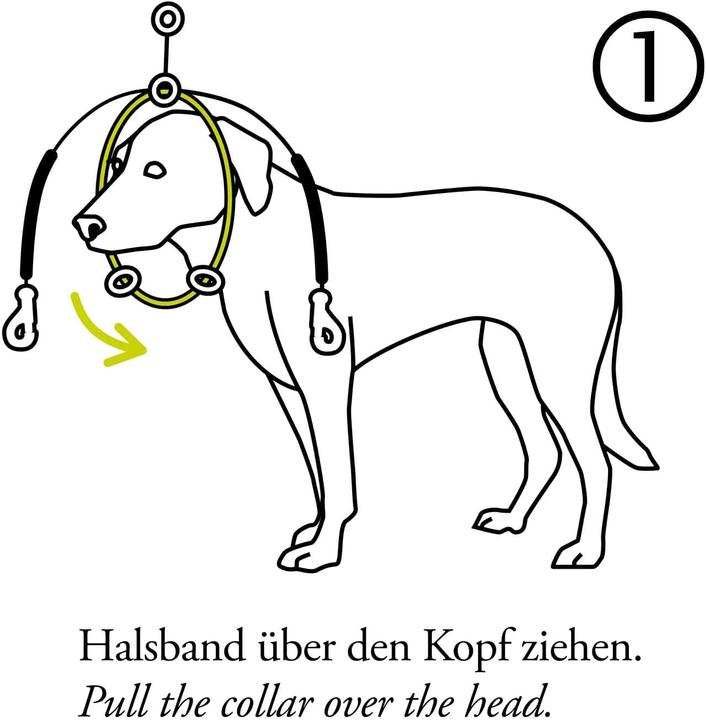 Immagine prodotto Hunter Imbracatura da addestramento laterale (Cane)