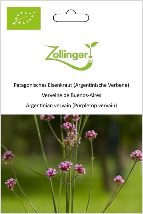 Immagine prodotto Zollinger Bio Verbena della Patagonia (verbena argentina) (Semi di piante)