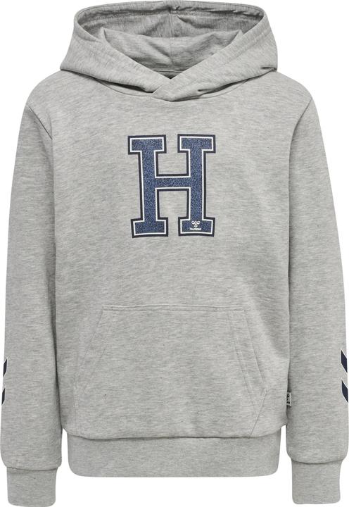 Produktbild hummel Geography Hoodie (116)